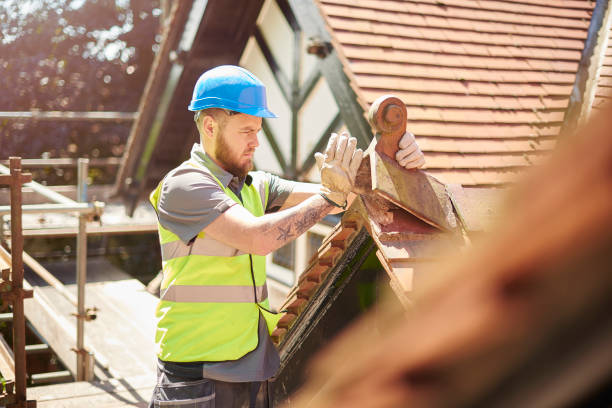 Best Roof Maintenance Services  in Dobbs Ferry, NY